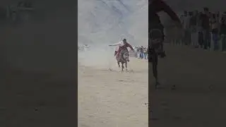 Nomadic Festival Ladakh #shorts #travel #mountains #ladakh #short #himalayas