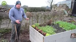 How to plant Bare Root Hedging