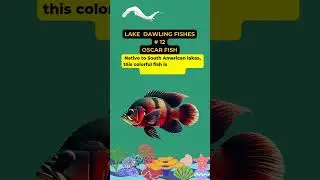 #OscarFishAwareness  #LifeBelowWater #SDG14 #ProtectOurLakes #LakeBiodiversity #ConserveFreshwater