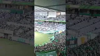 【守護神】マテウス チャント ヴェルディゴール裏 東京ヴェルディvs川崎フロンターレ&nbsp;味の素スタジアム&nbsp;J1第22節&nbsp;&nbsp;2025/6/29&nbsp;#東京ヴェルディ #verdy&nbsp;#shorts