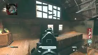 Modern Warfare (2019) Livestock PP-19 Bizon Nuke Bots