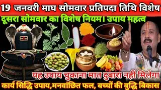 19 जनवरी सोमवार प्रतिपदा तिथि विशेष उपाय। कार्य सिद्धि उपाय, मनवांछित फल मिलेगा🌿🔱#upay#shiv#upay 