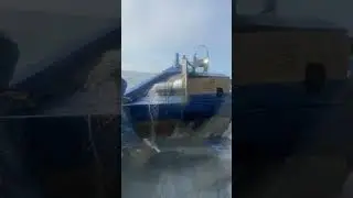 Pesca da corvina 