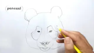 How to draw a Panda Head step by step , realistic Panda drawing