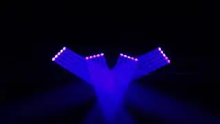 GEMINI