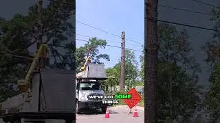 Choose Your Path - Victim, Winner, Help