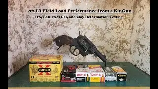 22lr Field Loads out of a kit gun, the Diamondback Sidekick Birdshead Revolver with 3