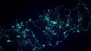 PLEXUS INTRO