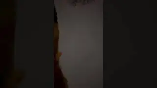 Falling off the bike looking at a cat 🤦&zwj;♂️ #funnyvideo #memes #cat #bikefails
