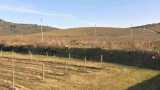 giuncarico video,.m4v