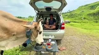 Cow crashes picnic and steals snacks at Ranu Manduro in Mojokerto, Indonesia