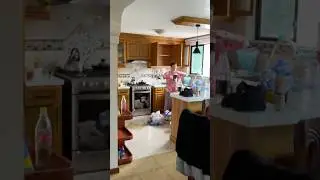 НОВОЕ ЖИЛИЩЕ #продолжаемнеработать #кито