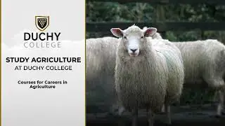 Study Agriculture at Duchy College Stoke Climsland