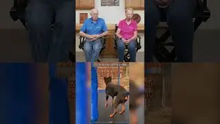 Dr. Pol Reacts - Heartwarming Bonds Between Dogs and Kids! 🐶❤️👶 #drpol #dogsandkids #heartwarming