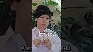Самый дурацкий вопрос в отношениях.#юмор #отношенияспарнем #правда #question #вопрос