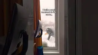 Я построил гоночную трассу для корги на снегу!! #шорты #гонки