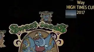 V&iacute;deo56. 4&deg;Concurso Sweet Seeds 2016-2017