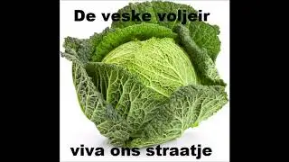 de veske voljeir - viva ons straatje