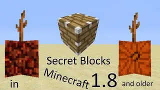 SECRET BLOCKS IN MINECRAFT 1.8 and older