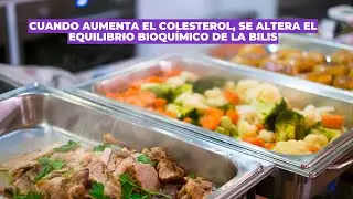 Así es como la comida navideña puede dañar tu vesícula