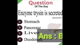 some basic important MCQ for neet CBSE board exam//#Neetdreamer//#digestivesystem //#neet//#mcq