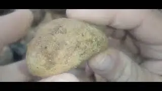 Join me on This...36 Minute Paleozoic Period Fossil Hunt in Ancient River Rock.