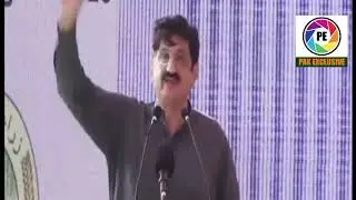 Wheat Farmers Support Program for 2025 | CM Sindh | Direct cash transfers | PPP | pak exclusive tv