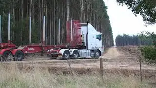 Trucks entering plantation (While shooting was occurring at Budj Bim National Park.