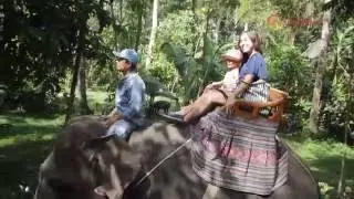 Beyond Bali Episode 4: Elephant Safari Park Bali Seg_1