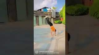 #shorts #flips viral flip