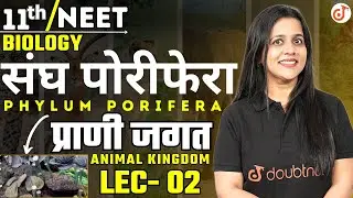 संघ पोरीफेरा Phylum Porifera - प्राणी जगत || Class 11 Chapter 4 Lec 2 Biology | By Vijaita Ma'am