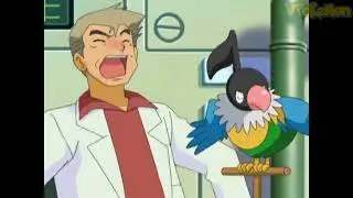 Chatot attacks Professor Oak | Professor Oak Funny Moments