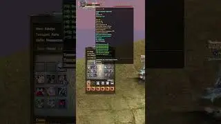 Кактус - НОВЫЙ ТОП ШЕЙХ Perfect World НА РУОФФЕ! ШМОТ ЦЕНОЙ В КВАРТИРУ! #mmorpg   #пв #shorts