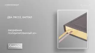 Ежедневник полудатированный А5+ арт 47718
