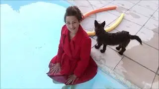 Wetlook Wool Coat