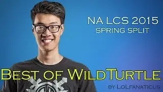 Best of TSM WildTurtle (NA LCS 2015 Spring)