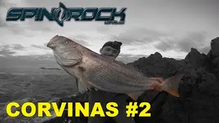 Pesca de corvinas grandes [Video Reporte #2] SpinRock