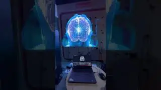 Real time display.Holographic Fan #animation #advertising #holographic #ledfan #hologram #christmas