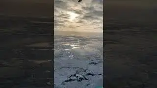 над холодом и льдинами  #арктика #arctic #sea