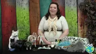 How To Make A Fantasy Fox Posable Art Doll with Jenny Roemmich - Trailer