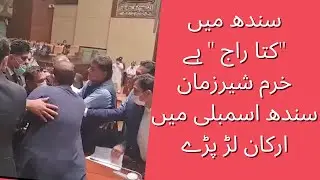 PPP vs PTI Ministers-Fight in Sindh Assembly | Law Makers break the law