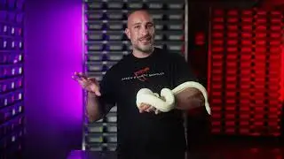 Snake Escape! How to find a snake that escaped!