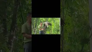 Bird Show - Cebu Safari and Adventure Park