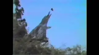 June 1988 Splash Mountain Construction (Disneyland)
