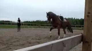 longerad
