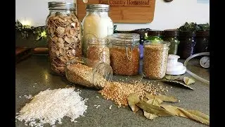 Grains, How and What I Store