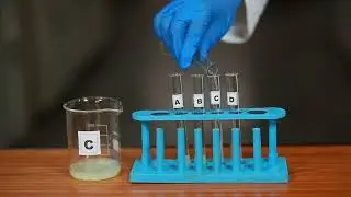 Compare the Foaming Capacity of Different Samples of Soap