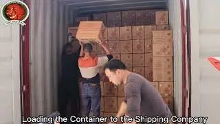 How to ship the Fireworks?/Fireworks Shipping/Fireworks Delivery/Fireworks Factory