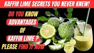 Kaffir Lime Secrets You Never Knew! Do You Know Advantages Of Kaffir Lime ? Please Find It Now.