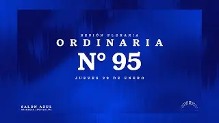 Sesión Plenaria Ordinaria Nº 95